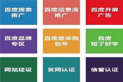 某行业SEM竞价专员的成功策略与经典案例